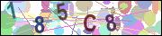 captcha.gif