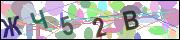 captcha.gif