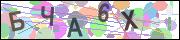 captcha.gif