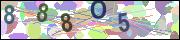 captcha.gif