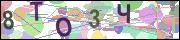 captcha.gif