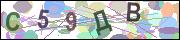 captcha.gif