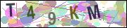 captcha.gif