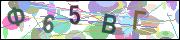 captcha.gif