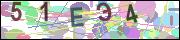 captcha.gif