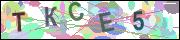captcha.gif