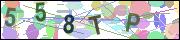captcha.gif