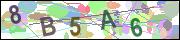 captcha.gif