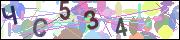 captcha.gif