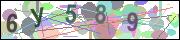 captcha.gif