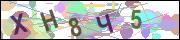 captcha.gif