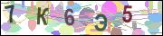captcha.gif