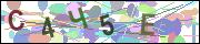 captcha.gif
