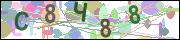 captcha.gif