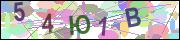 captcha.gif