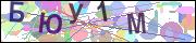 captcha.gif
