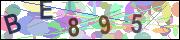 captcha.gif