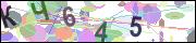 captcha.gif