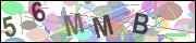 captcha.gif