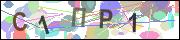captcha.gif