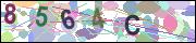 captcha.gif