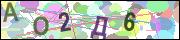 captcha.gif