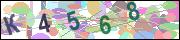 captcha.gif