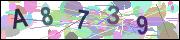 captcha.gif