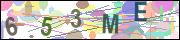 captcha.gif