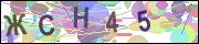 captcha.gif