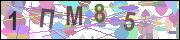 captcha.gif
