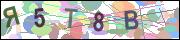 captcha.gif