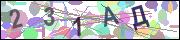 captcha.gif