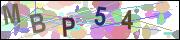 captcha.gif