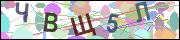 captcha.gif